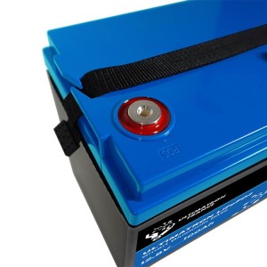 Batteria LiFePo4 12v Bluetooth - 5 anni di garanzia