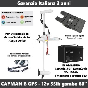 Haswing Cayman 55lb 12v gambo 60"(152) - Funzione ancora v 1.6 (fine serie)