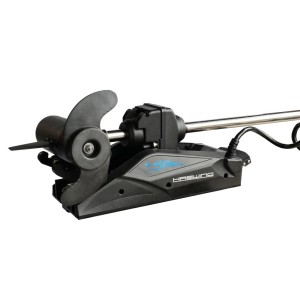 Haswing Cayman 55lb 12v gambo 72"(183cm) - Funzione ancora v 1.6 (nuovo modello)