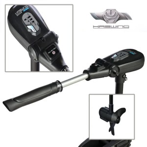 Haswing Genius 12v - 30/40/55lb lunghezza palo 80cm