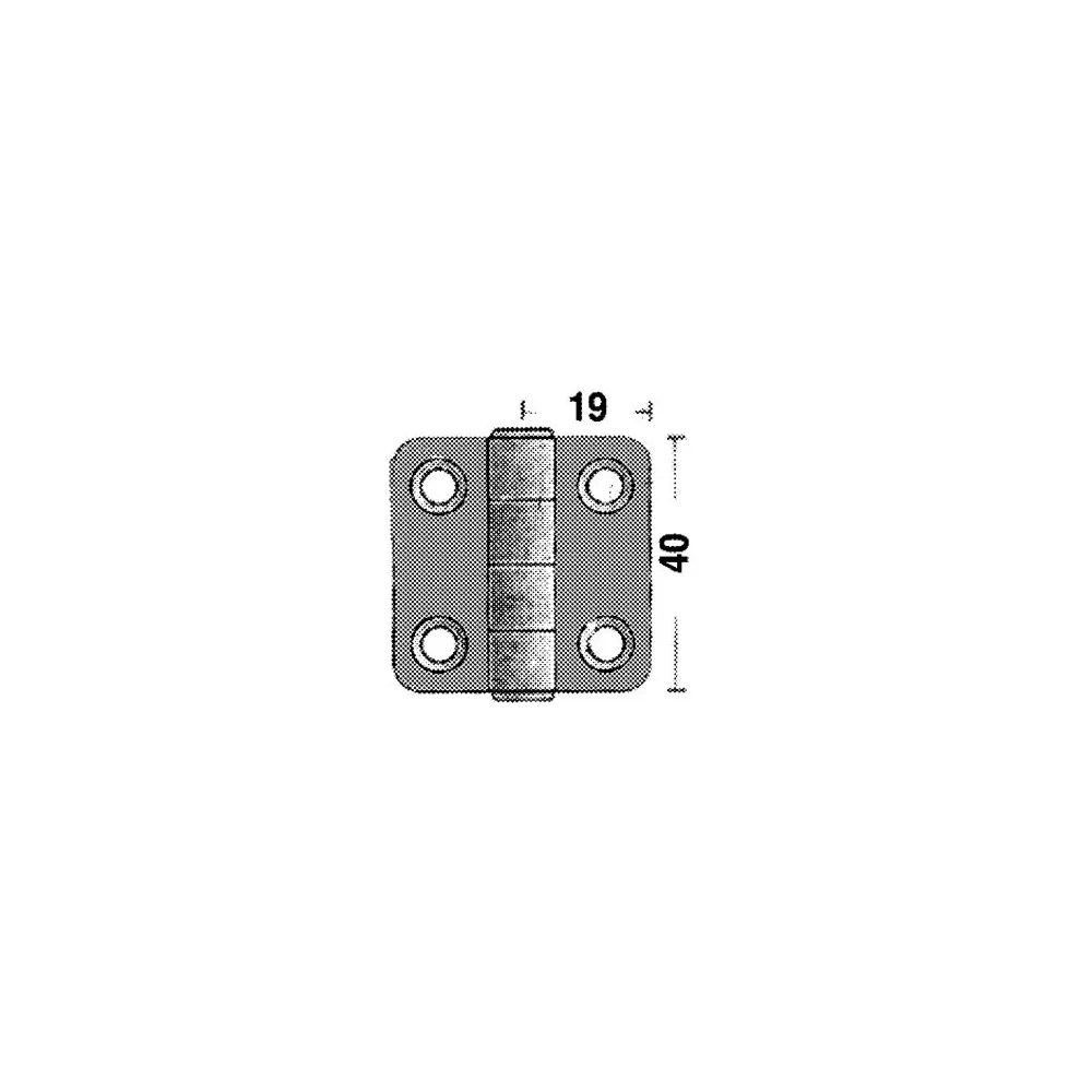 CERNIERE IN ACC. INOX MM 2