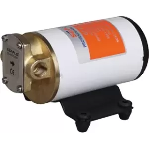 POMPA INGRANAGGI 12 LT/MIN 12V
