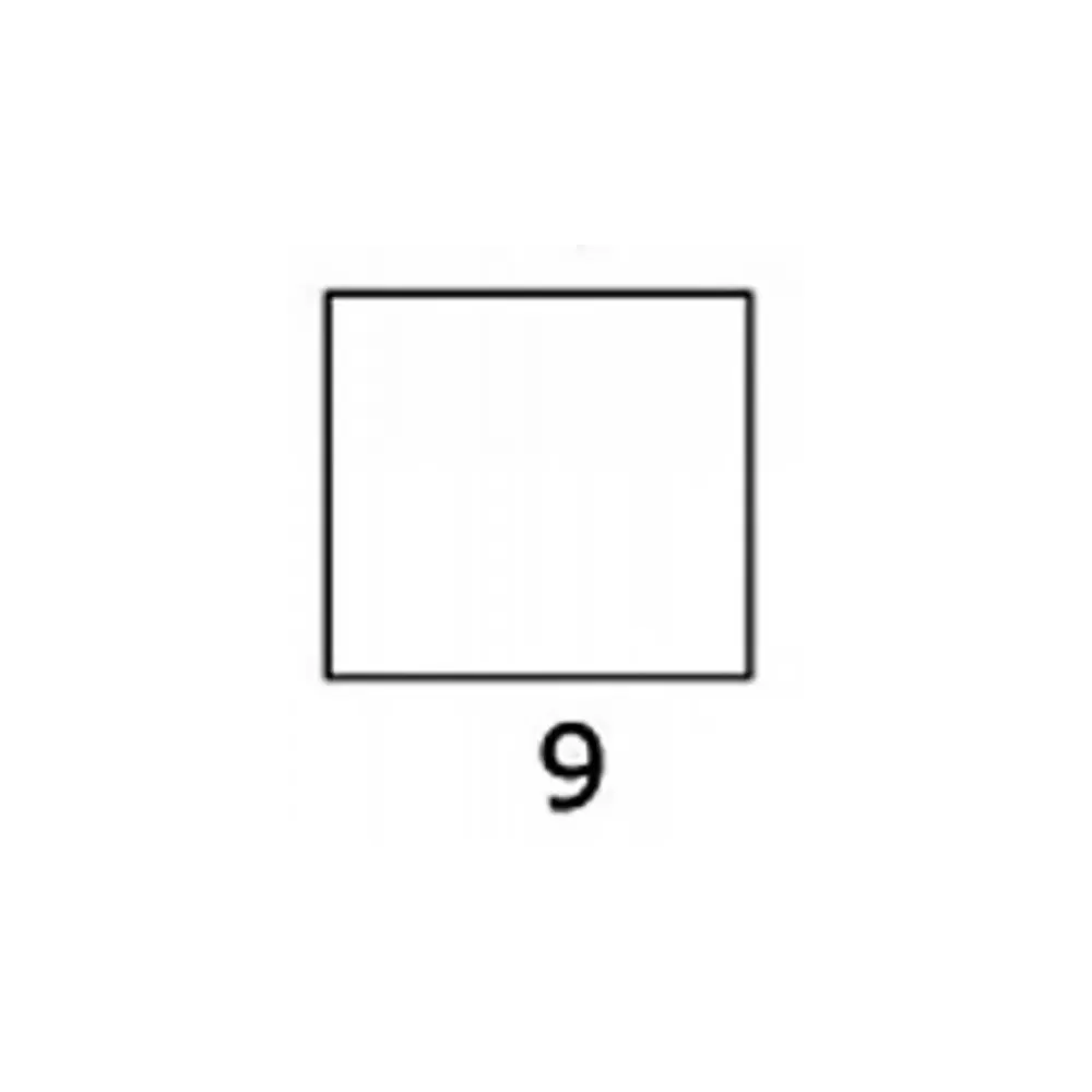 BASCULA NEUTRO