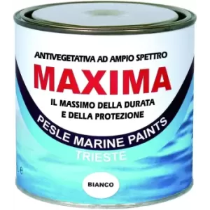 ANTIVEGETATIVA MAXIMA BIANCO LT. 0,750