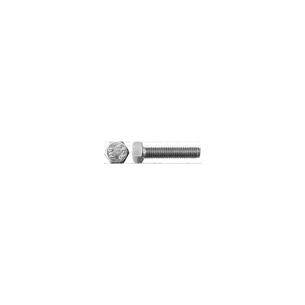 VITE TE INT.FIL. INOX 10X100