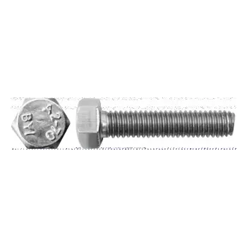 VITE TE INOX 16X150