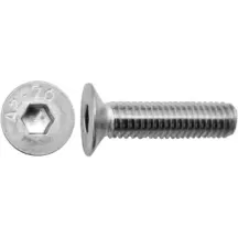 VITE INOX TSP ESAG. 8X30