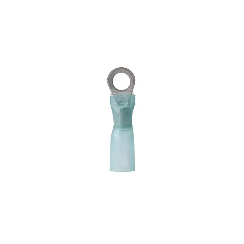 TERMIN.TERMOR. MM?1-2 FORO MM.4 PZ.100