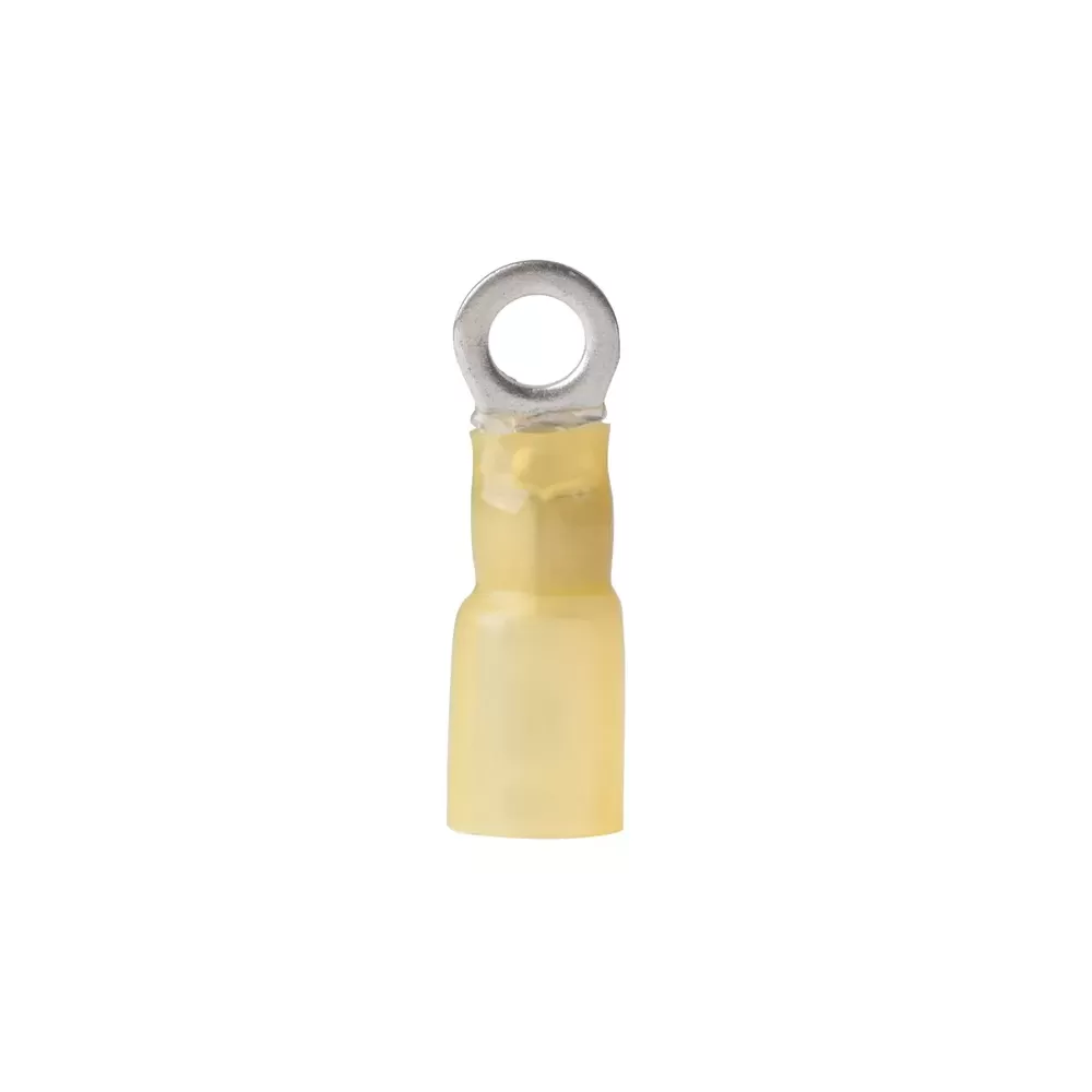 TERMIN.TERMOR. MM?3-5 FORO MM.4 PZ.25