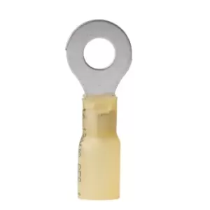 TERMIN.TERMOR. MM?3-5 FORO MM.6,4 PZ.25