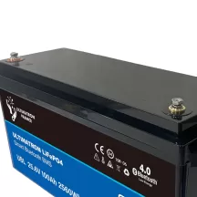 Batteria al Litio 24V 100Ah LiFePo4 Bluetooth - 5 Anni di Garanzia