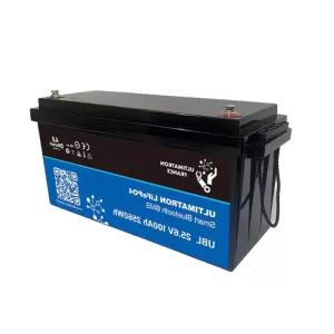 Batteria al Litio 24V 100Ah LiFePo4 Bluetooth - 5 Anni di Garanzia