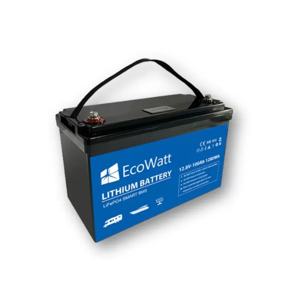 Batteria LiFePo4 12v Bluetooth - 5 anni di garanzia