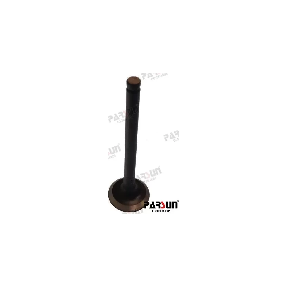 VALVE EXHAUST