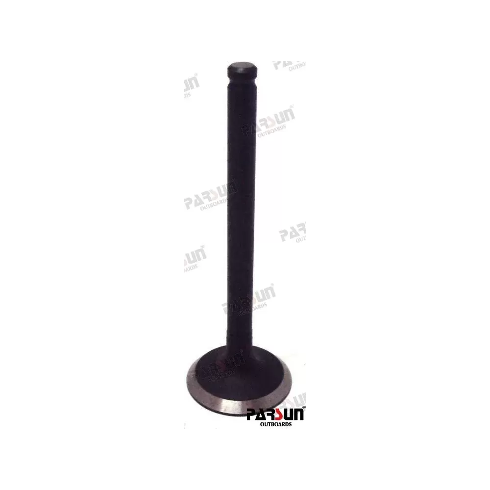 VALVE.INTAKE