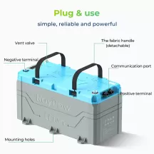 Batteria al litio LiFePO4 RoyPow - 36V 100 AH