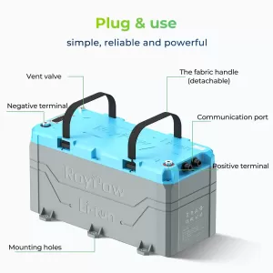 Batteria al litio LiFePO4 RoyPow - 36V 100 AH