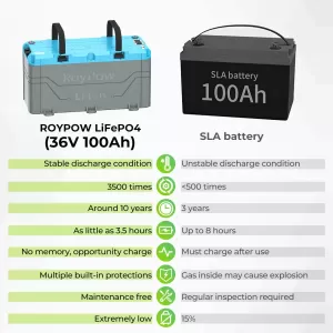 Batteria al litio LiFePO4 RoyPow - 36V 100 AH