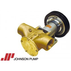 Pompa con Frizione Magnetica Johnson F9B-5600-2