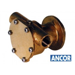 Pompa Flangiata Ancor St 139
