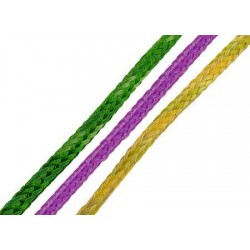 Treccia Traino Sci